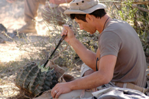 beber_agua_cactus_mito_supervivencia