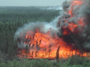 incendio_supervivencia_viento