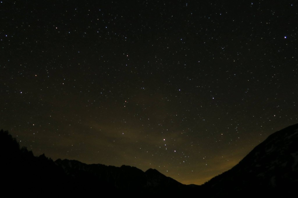 supervivencia_lata_sardinas_noche_naturaleza